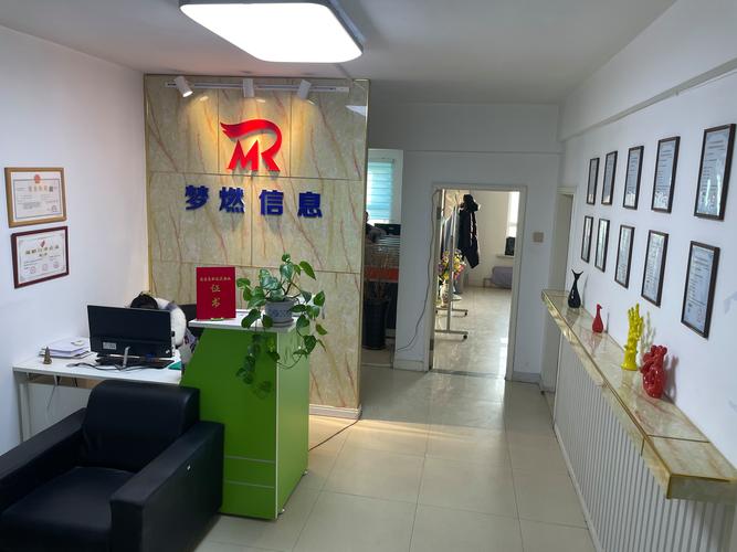软件和信息技术服务 咨询与创新驱动的发展路径